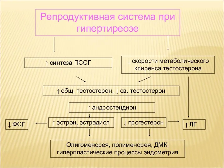 Репродуктивная система при гипертиреозе ↑ общ. тестостерон, ↓ св. тестостерон ↑ андростендион