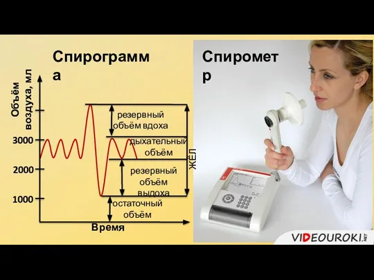 Спирометр Спирограмма Объём воздуха, мл дыхательный объём Время 1000 2000 3000 резервный