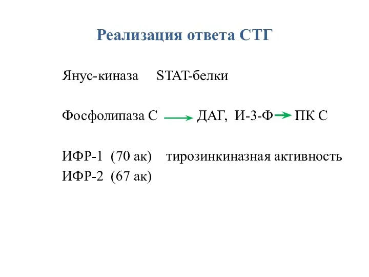 Реализация ответа СТГ Янус-киназа STAT-белки Фосфолипаза С ДАГ, И-3-Ф ПК С ИФР-1