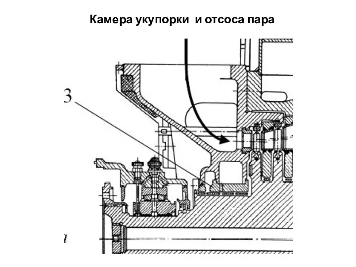 Камера укупорки и отсоса пара