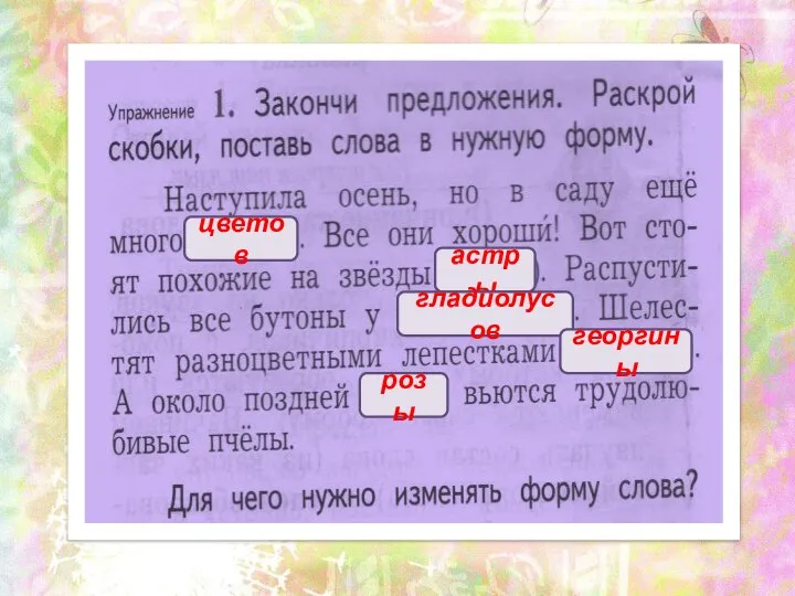 цветов астры гладиолусов георгины розы