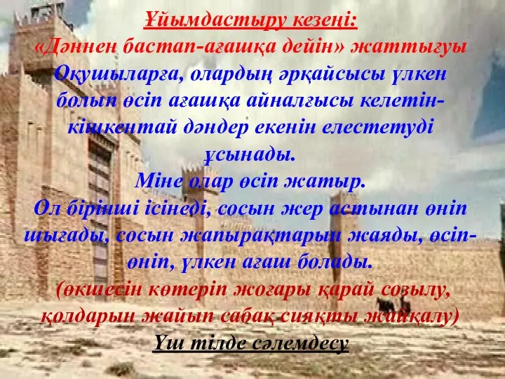 Ұйымдастыру кезеңі: «Дәннен бастап-ағашқа дейін» жаттығуы Оқушыларға, олардың әрқайсысы үлкен болып өсіп