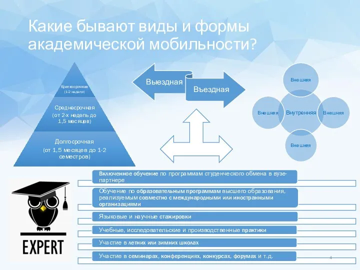 Какие бывают виды и формы академической мобильности?