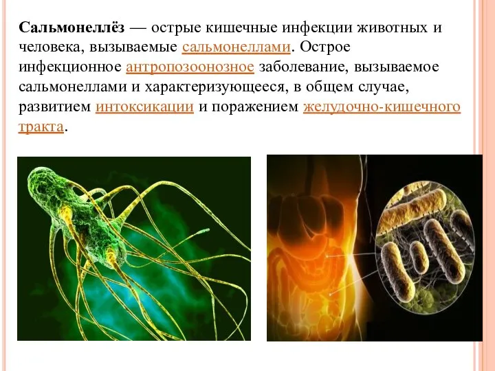 Сальмонеллёз — острые кишечные инфекции животных и человека, вызываемые сальмонеллами. Острое инфекционное