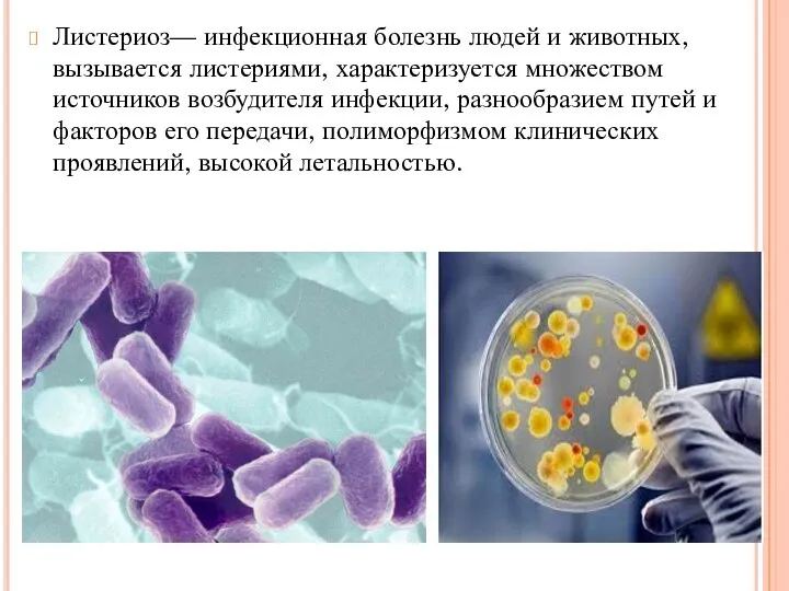 Листериоз— инфекционная болезнь людей и животных, вызывается листериями, характеризуется множеством источников возбудителя