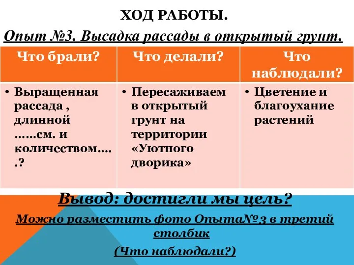 ХОД РАБОТЫ. Опыт №3. Высадка рассады в открытый грунт. Вывод: достигли мы