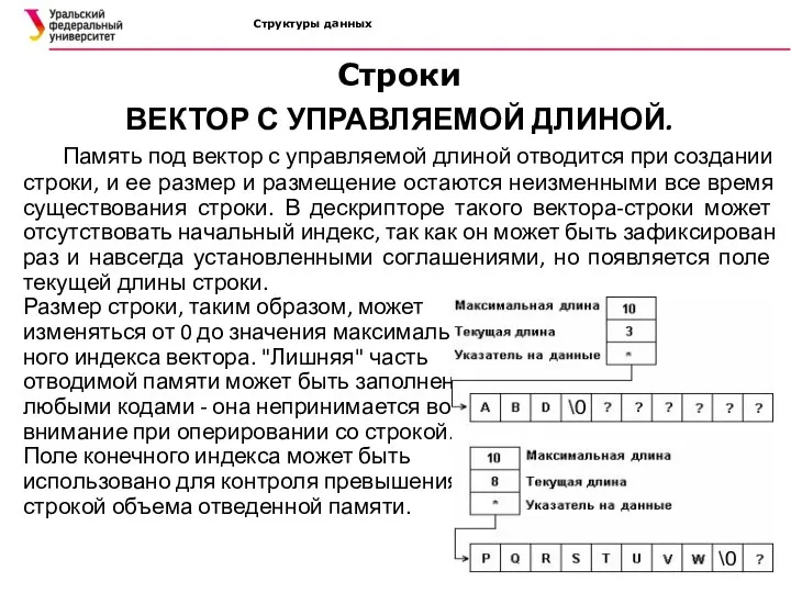 Структуры данных ВЕКТОР С УПРАВЛЯЕМОЙ ДЛИНОЙ. Память под вектор с управляемой длиной