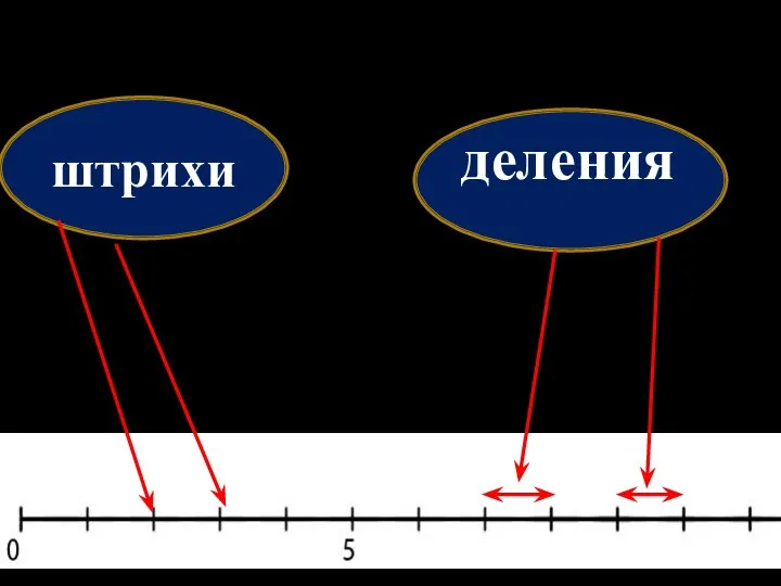 штрихи деления