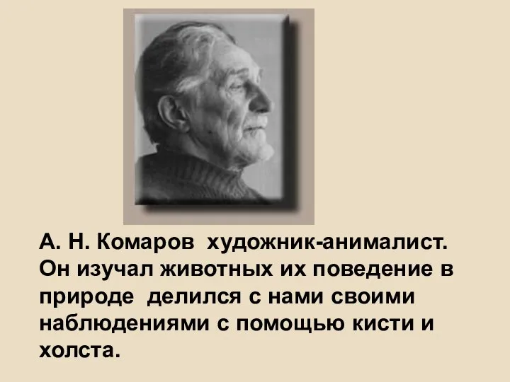 А. Н. Комаров художник-анималист. Он изучал животных их поведение в природе делился