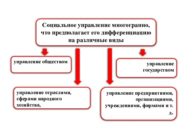 Социальное управление многогранно, что предполагает его дифференциацию на различные виды управление обществом