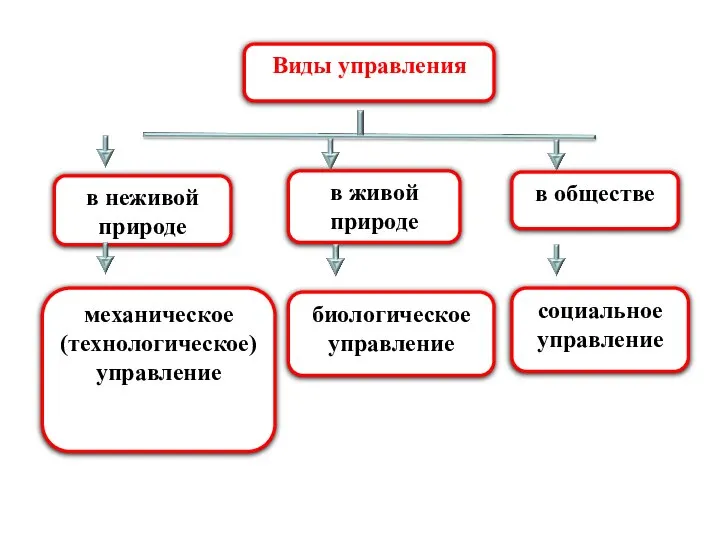 Виды управления в неживой природе в обществе в живой природе механическое (технологическое)