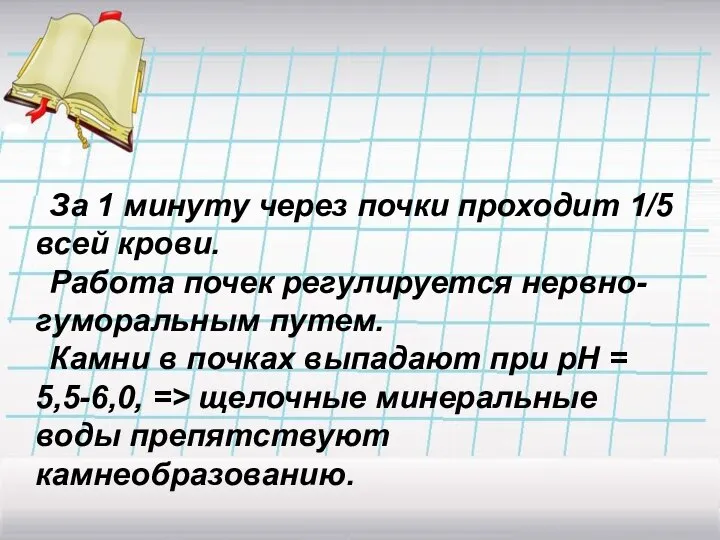 За 1 минуту через почки проходит 1/5 всей крови. Работа почек регулируется