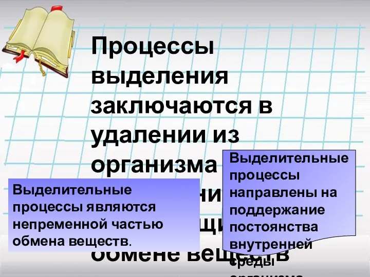 Процессы выделения заключаются в удалении из организма соединений, образующихся при обмене веществ