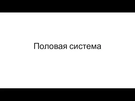 Половая система