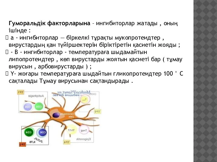 Гуморальдік факторларына – ингибиторлар жатады , оның ішінде : а - ингибиторлар