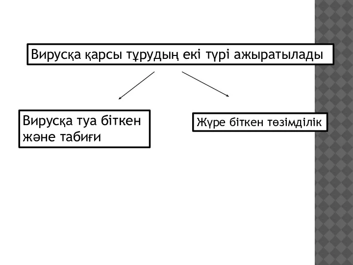 Вирусқа қарсы тұрудың екі түрі ажыратылады Вирусқа туа біткен және табиғи Жүре біткен төзімділік