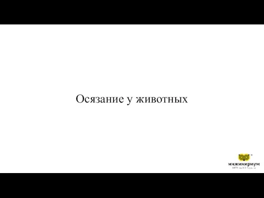 Осязание у животных