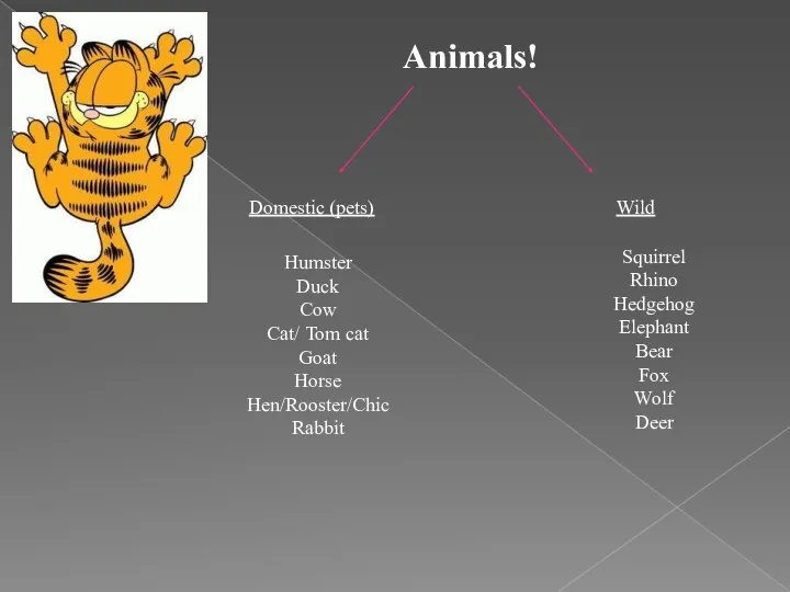 Animals! Domestic (pets) Wild Humster Duck Cow Cat/ Tom cat Goat Horse