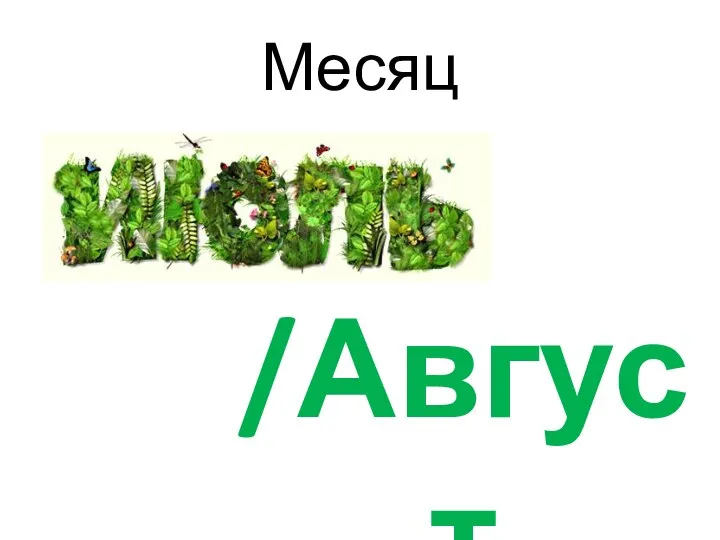 Месяц /Август