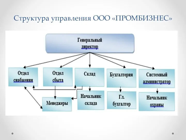 Структура управления ООО «ПРОМБИЗНЕС»