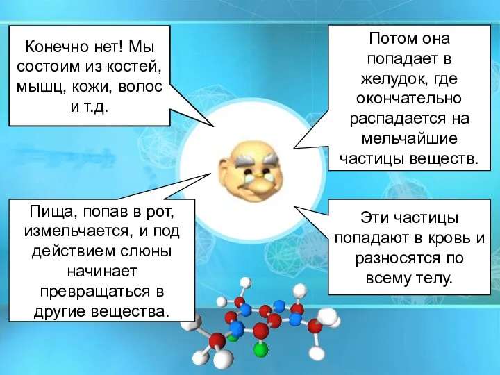 Пища, попав в рот, измельчается, и под действием слюны начинает превращаться в