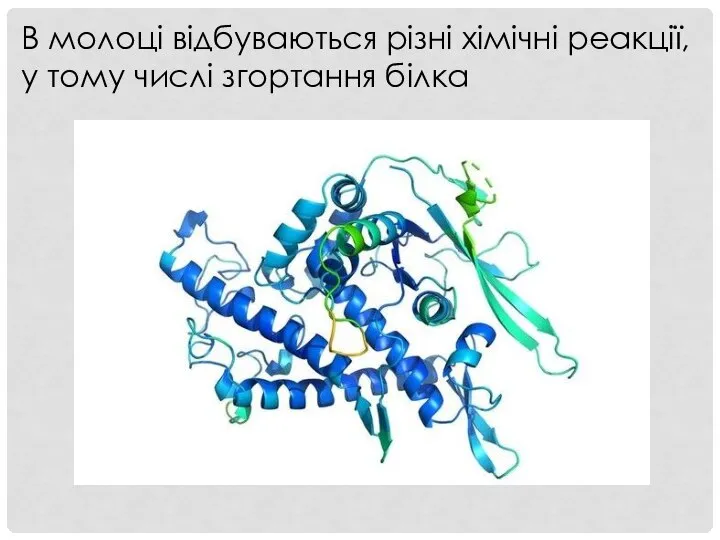 В молоці відбуваються різні хімічні реакції, у тому числі згортання білка