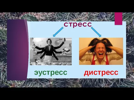 стресс