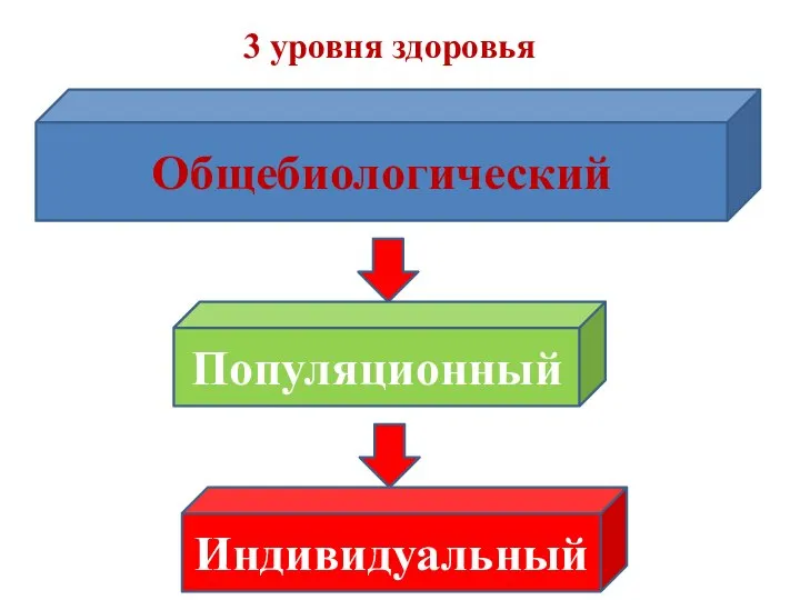 3 уровня здоровья Общебиологический Популяционный Индивидуальный