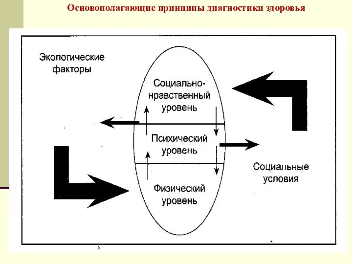 Основополагающие принципы диагностики здоровья