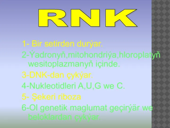 1- Bir setirden durýar. 2-Ýadronyň,mitohondriýa,hloroplatyň wesitoplazmanyň içinde. 3-DNK-dan çykýar. 4-Nukleotidleri A,U,G we