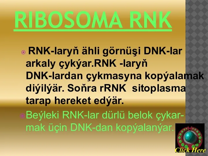 RIBOSOMA RNK RNK-laryň ähli görnüşi DNK-lar arkaly çykýar.RNK -laryň DNK-lardan çykmasyna kopýalamak