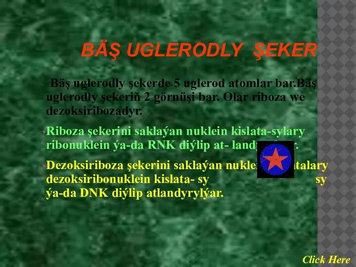 BÄŞ UGLERODLY ŞEKER Bäş uglerodly şekerde 5 uglerod atomlar bar.Bäş uglerodly şekeriň