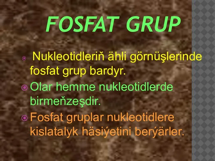 FOSFAT GRUP Nukleotidleriň ähli görnüşlerinde fosfat grup bardyr. Olar hemme nukleotidlerde birmeňzeşdir.