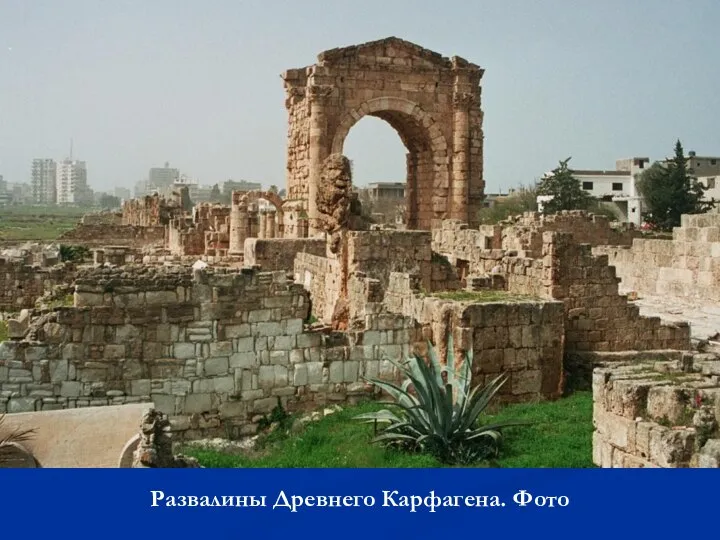Развалины Древнего Карфагена. Фото