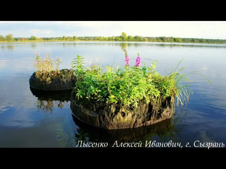 Лысенко Алексей Иванович, г. Сызрань