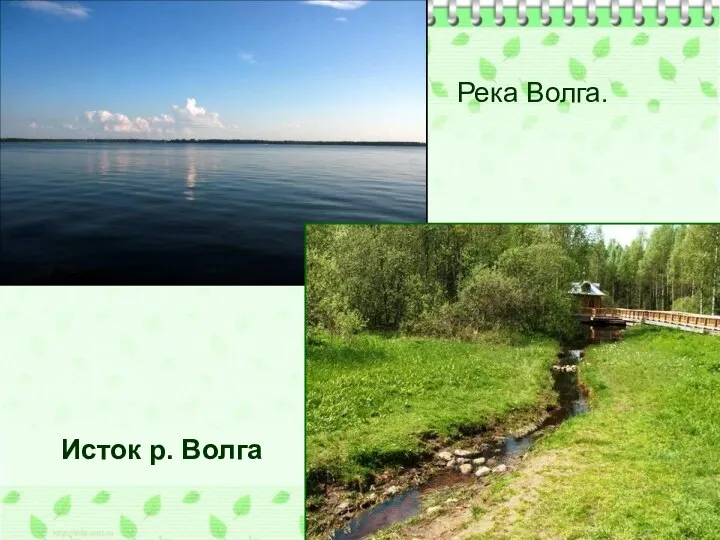 Река Волга. Исток р. Волга