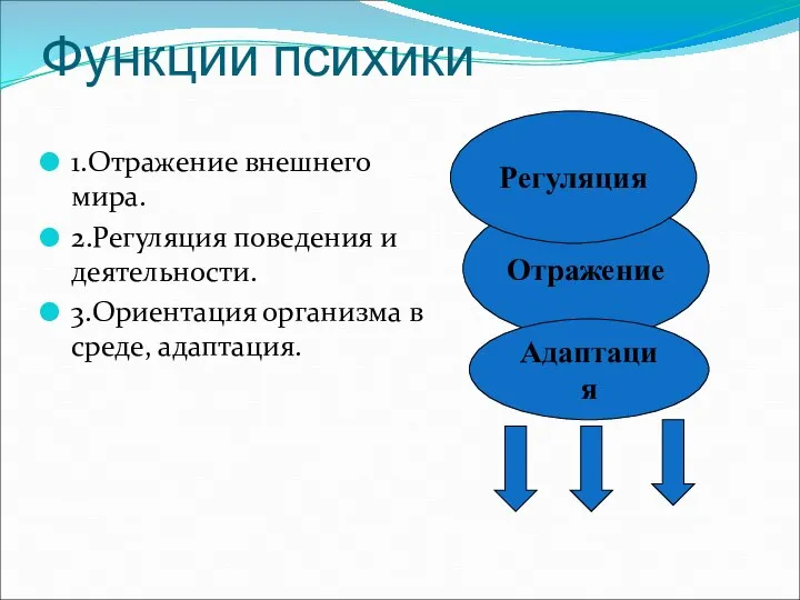 Функции психики 1.Отражение внешнего мира. 2.Регуляция поведения и деятельности. 3.Ориентация организма в