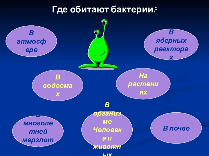 Где обитают бактерии? В атмосфере В многолетней мерзлоте В водоемах В ядерных