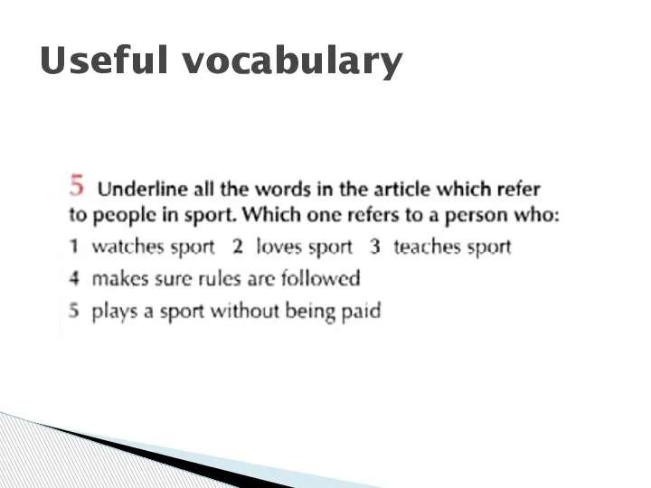 Useful vocabulary