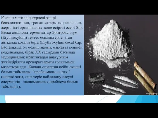 Кокаин метилдің күрделі эфирі бензоилэкгонин, тропан қатарының алкалоид, жергілікті органикалық және есірткі