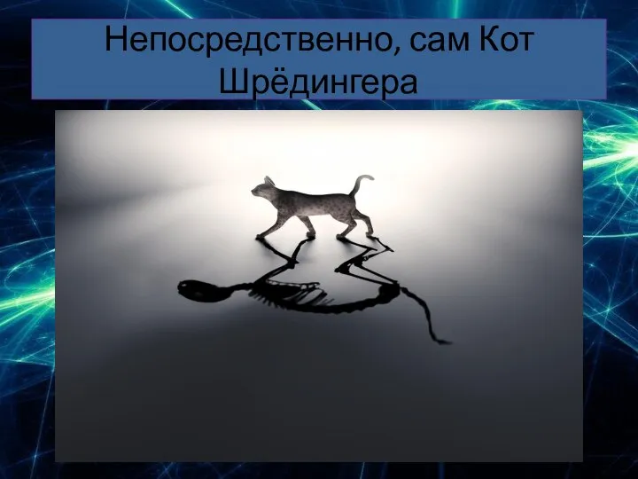 Непосредственно, сам Кот Шрёдингера