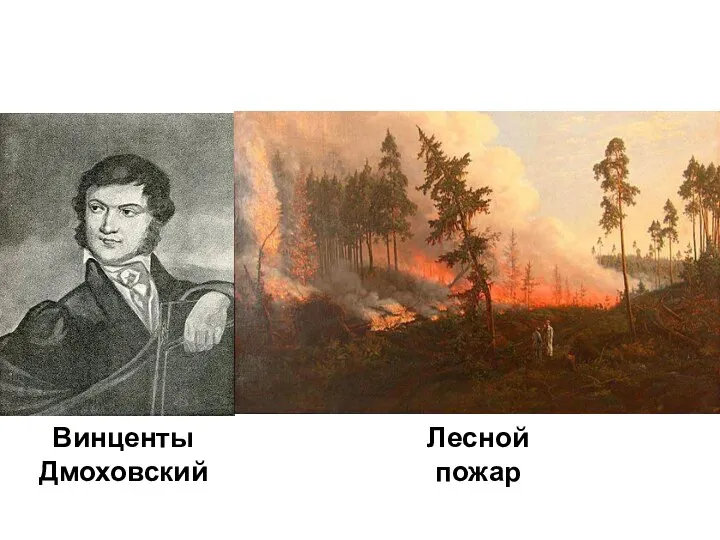 Винценты Дмоховский Лесной пожар