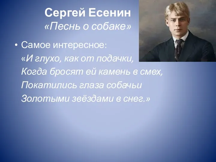 Сергей Есенин «Песнь о собаке» Самое интересное: «И глухо, как от подачки,