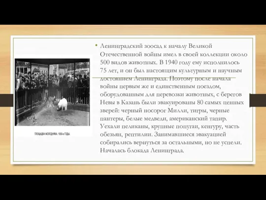 Ленинградский зоосад к началу Великой Отечественной войны имел в своей коллекции около