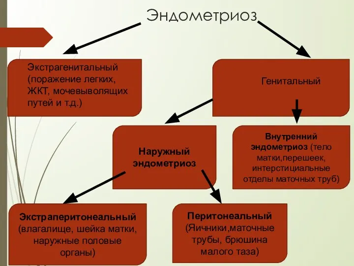 Эндометриоз Экстрагенитальный (поражение легких, ЖКТ, мочевыволящих путей и т.д.) Генитальный Наружный эндометриоз