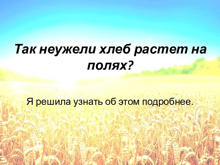 Так неужели хлеб растет на полях? Я решила узнать об этом подробнее.