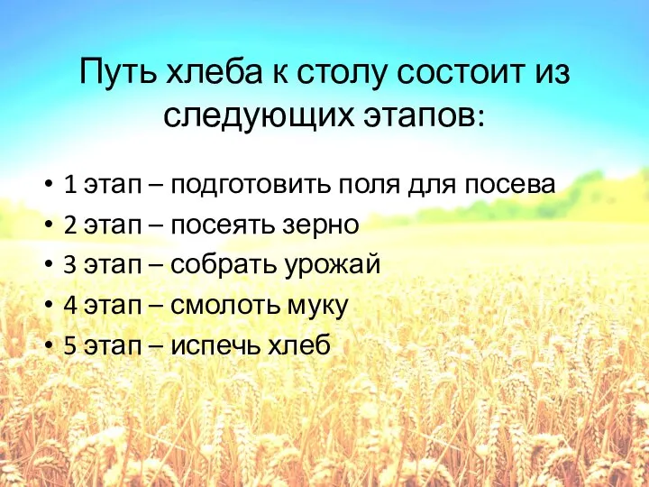 Путь хлеба к столу состоит из следующих этапов: 1 этап – подготовить