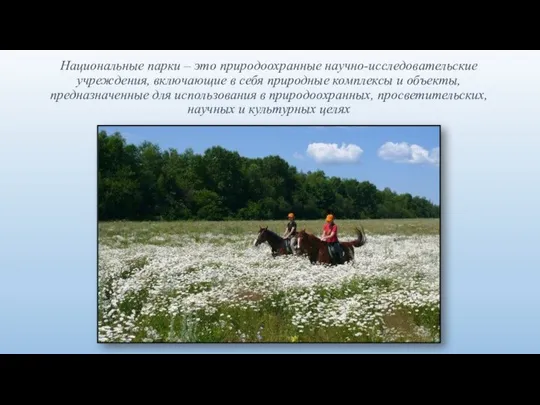 Национальные парки – это природоохранные научно-исследовательские учреждения, включающие в себя природные комплексы