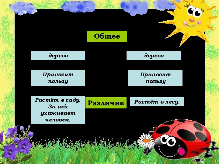 Общее Различие Растёт в лесу. Растёт в саду. За ней ухаживает человек.