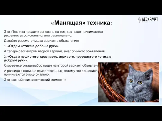 «Манящая» техника: Это «Техника продаж» основана на том, как чаще принимаются решения: